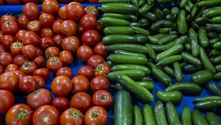 Rusya ve Ukrayna savaşı domates, biber ve salatalık fiyatını yüzde 30 düşürdü