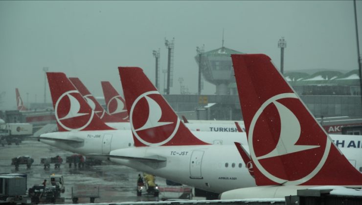 Viyana-İstanbul uçuşu iptal edildi